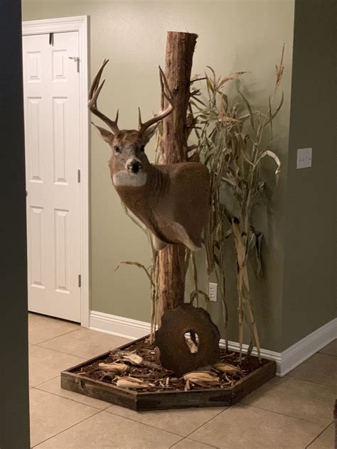 Pedestal deer mount ideas - Aug 5, 2021 · Image Story: Commercial Price Range: $75-$100. DIY Price Range: $25-$50. Like the skull mount? The synthetic route is an option. It costs less to have a taxidermist do a skull mount this way and the DIY …